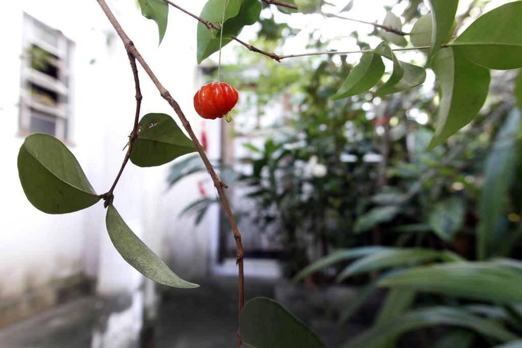 Casa Em Meio A Natureza - Ideal Para Casal Rio de Janeiro Zewnętrze zdjęcie